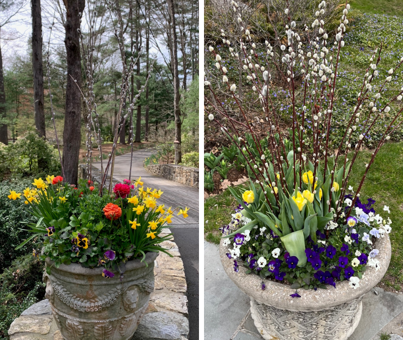 Seasonal Shift: Think Spring Growing Season!