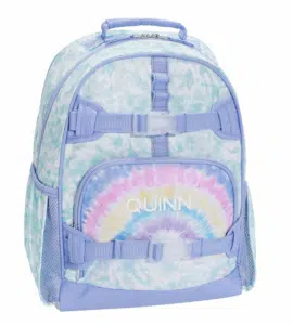 Pre-K to High School: 8 Must-Have Backpacks and Lunch Boxes