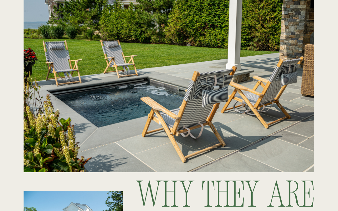 Plunge Pools: Why They’re Perfect for Busy Families
